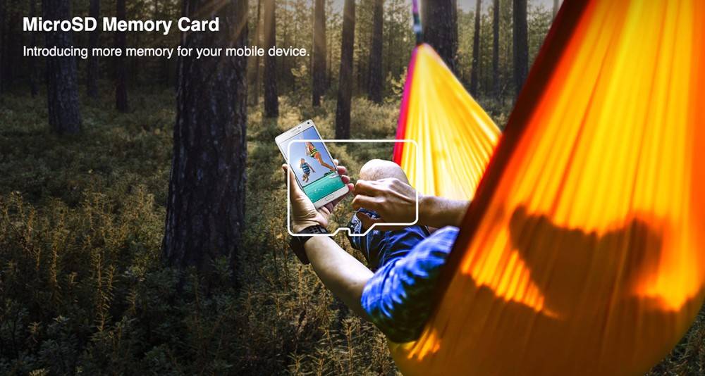 Original SAMSUNG Micro SD card 32GB Class 10 Memory Card EVO+ EVO Plus microSD 256GB 128GB 64GB 16GB TF Card cartao de memoria